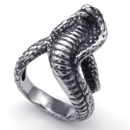 Lyxig Design I Delikata Färger Och Pålitlig Titanring Av Hög Kvalitet