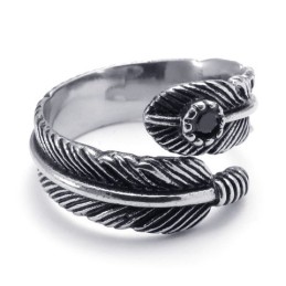 Vacker Design, Fina Färger, Titanring Av Högsta Kvalitet