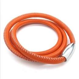 Skicklig Design, Delikata Färger, Utmärkt Titanläderhalsband