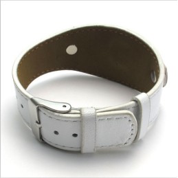 Modern Design, Delikata Färger, Pålitligt Titanarmband Av Hög Kvalitet