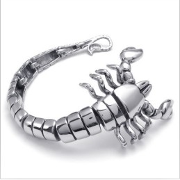 Modern Design, Färgglans, Titanarmband Av Högsta Kvalitet