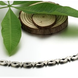Högkvalitativt Titanarmband I Lodestone