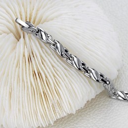 Lättanvänt Armband För Kvinnors Hälsa I Titan, Lodestone