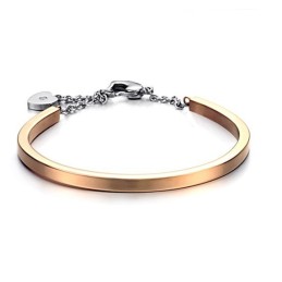 Pålitlig Kvalitets Titanarmband För Kvinnor Med Lås