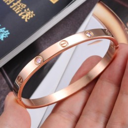 Högkvalitativt Titanarmband För Kvinnor Med Skruv
