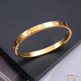Lättanvänd Titanarmband För Kvinnor