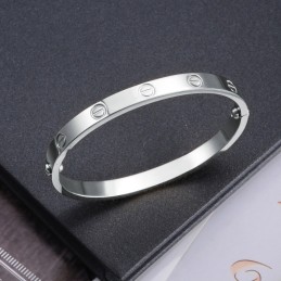 Klassiskt Titanarmband Av Utmärkt Kvalitet För Kvinnor