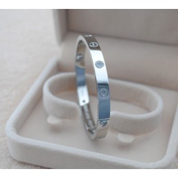 Klassiskt Titanarmband Av Utmärkt Kvalitet För Kvinnor