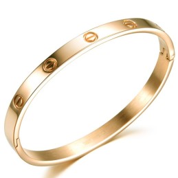 Drottningen Av Kvalitets Titanarmband För Kvinnor