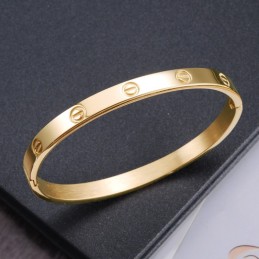 Drottningen Av Kvalitets Titanarmband För Kvinnor
