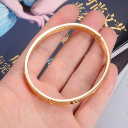 Drottningen Av Kvalitets Titanarmband För Kvinnor