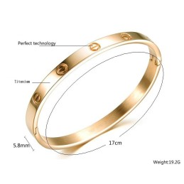 Drottningen Av Kvalitets Titanarmband För Kvinnor