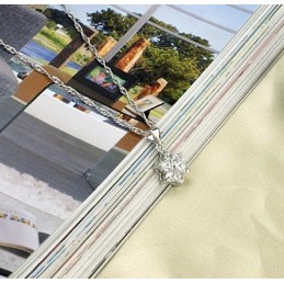 To Have A Long Story Halsband För Kvinnor I Platinapläterat Titan Med Strass