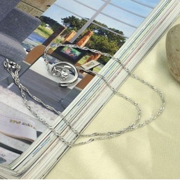 Kompletta Specifikationer För Kvinnor I Platinapläterat Titanhalsband Med Strass