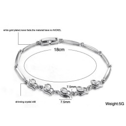 Säljer Bra Över Hela Världen För Kvinnor I Platinapläterat Titanarmband