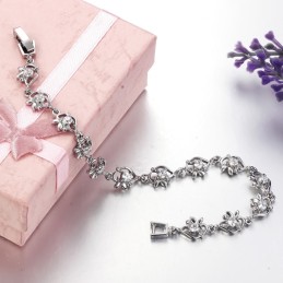Världsomfattande Känt Platinapläterat Titanarmband För Kvinnor