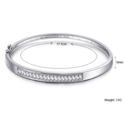 Pålitlig Kvalitets Allergifri Platinapläterad Titanarmband Med Diamanter För Kvinnor