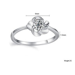 Drottningen Av Kvalitetsmode För Kvinnor Platinapläterad Titanring