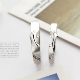 Kompletta Specifikationer Delfin Platinapläterad Titanring För Älskare
