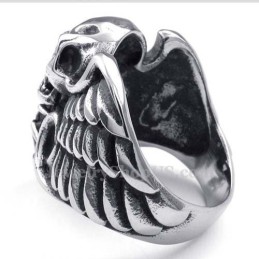 Titanring Med Skallevinge Och Röd Zirkon