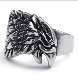 Titanörnring
