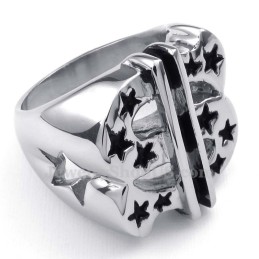Titanring Med Dollartecken