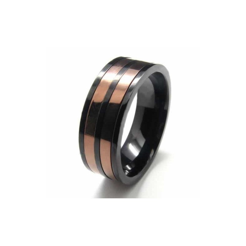 8 Mm Titanring Med Två Cirklar Och Infällda Hovband 8 Mm Titanring Med Två Cirklar Och Infällda Hovband