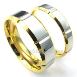 Moderiktig Silverguld Titanring (Dam)
