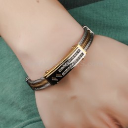 Herrmode Zirkonium Titanarmband C783