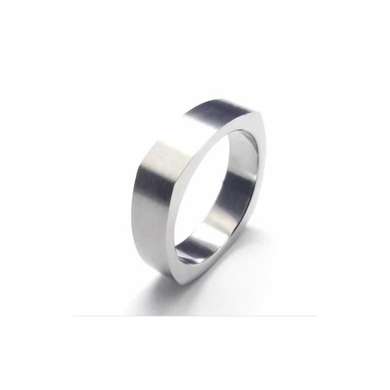 5 Mm Unisexring I Ren Titan 5 Mm Unisexring I Ren Titan