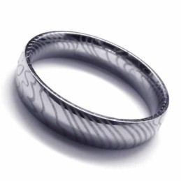4 Mm Silverring I Titan För Damer