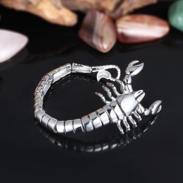Armband Med Polerat Titan Med Djurmotiv Och Skorpionmotiv