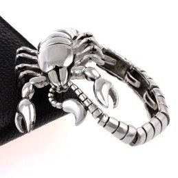 Armband Med Polerat Titan Med Djurmotiv Och Skorpionmotiv