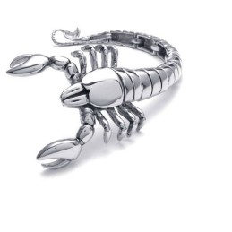 Armband Med Polerat Titan Med Djurmotiv Och Skorpionmotiv