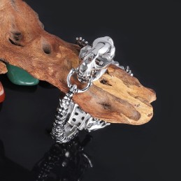 Retro Överdriven Cool Dinosaurie Chic Stil Titanarmband För Män