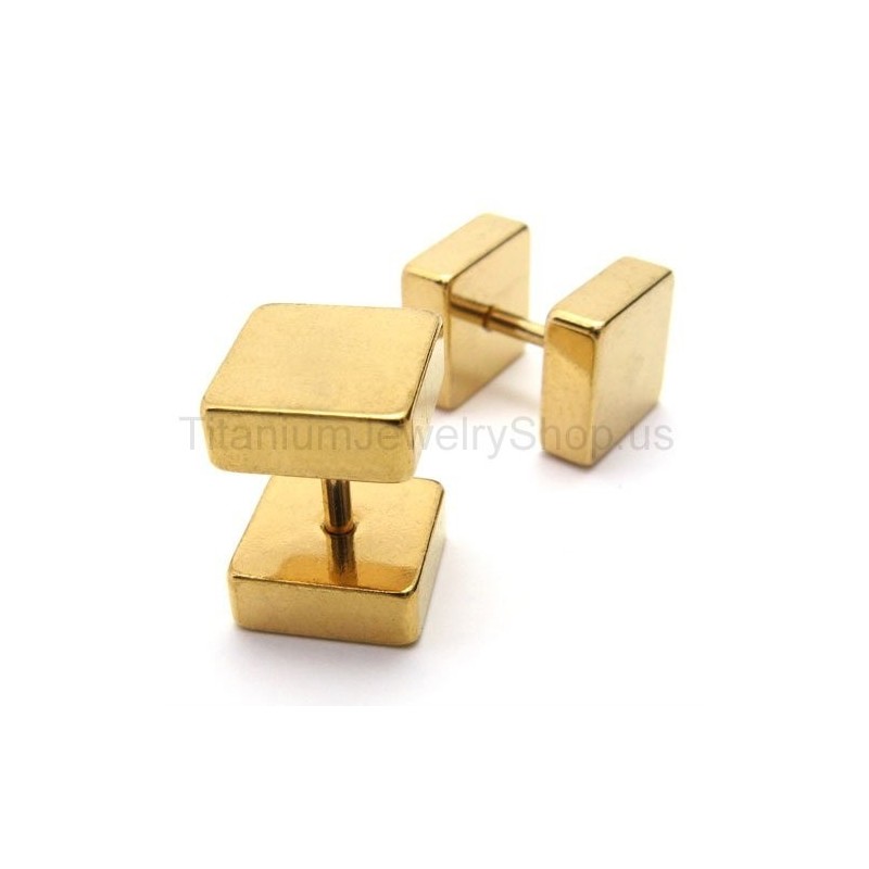 Örhängen I Guld Med Titanboxar, Skivstång Örhängen I Guld Med Titanboxar, Skivstång