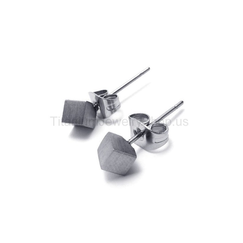 Silverrosa Titanörhängen Silverrosa Titanörhängen
