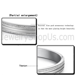 Tatanium Pararmband C862