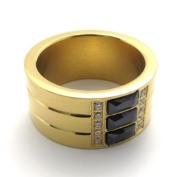 Guld Titanring