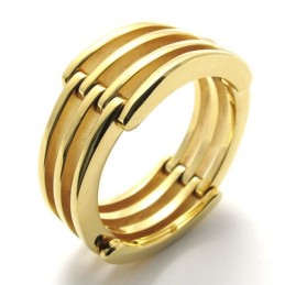 Guldpussel Titanring