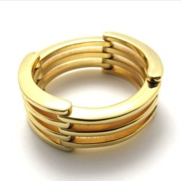 Guldpussel Titanring