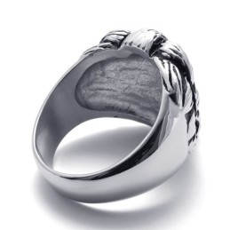 Lejonring I Titan