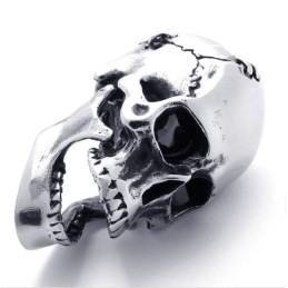 Skull Titan Hängsmycke