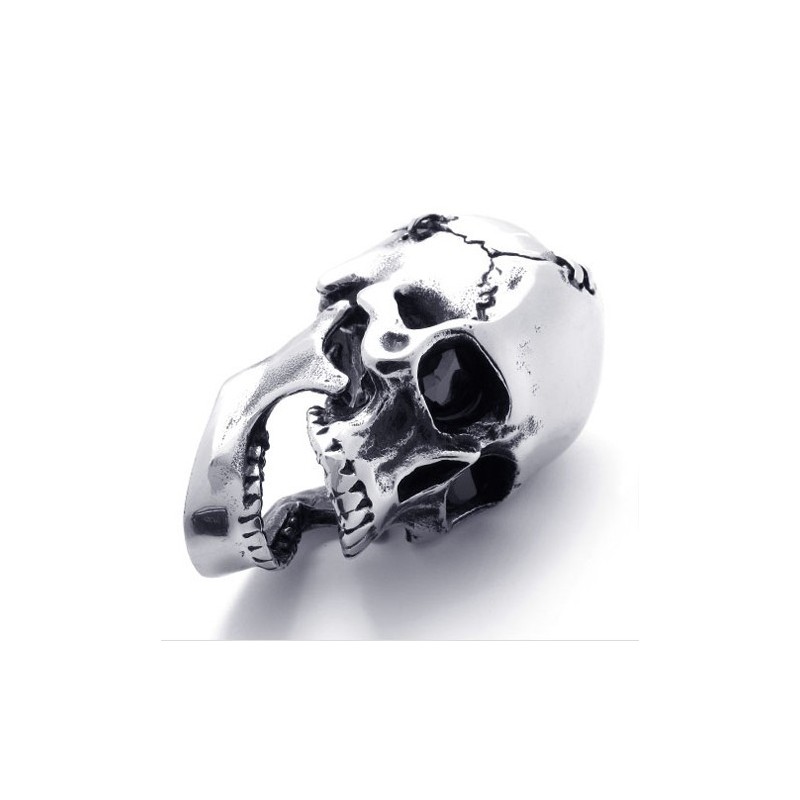 Skull Titan Hängsmycke Skull Titan Hängsmycke