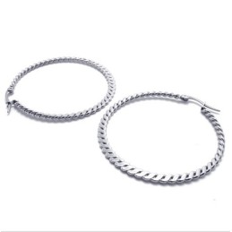 Ringflätade Titanörhängen