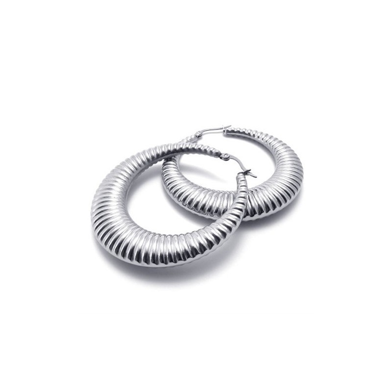 Ring Titanörhängen Ring Titanörhängen