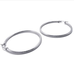 Ring Titanörhängen