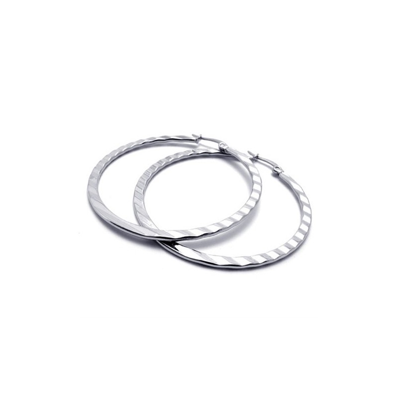 Ring Titanörhängen Ring Titanörhängen