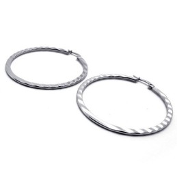 Ring Titanörhängen