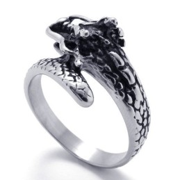 Modern Design, Fina Färger, Stabil Kvalitet I Titanring